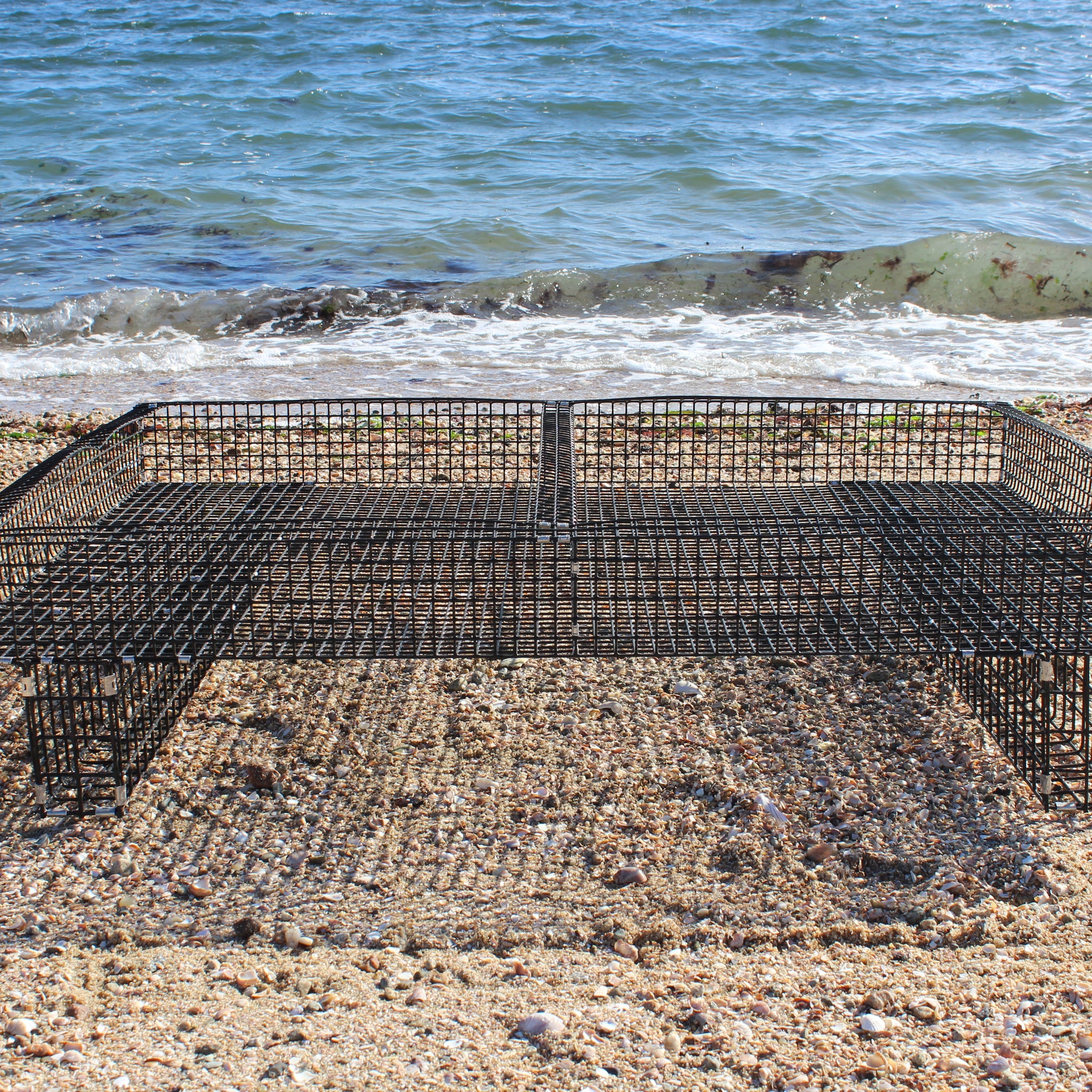 Oyster Trays