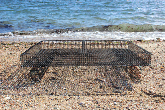 Oyster Trays