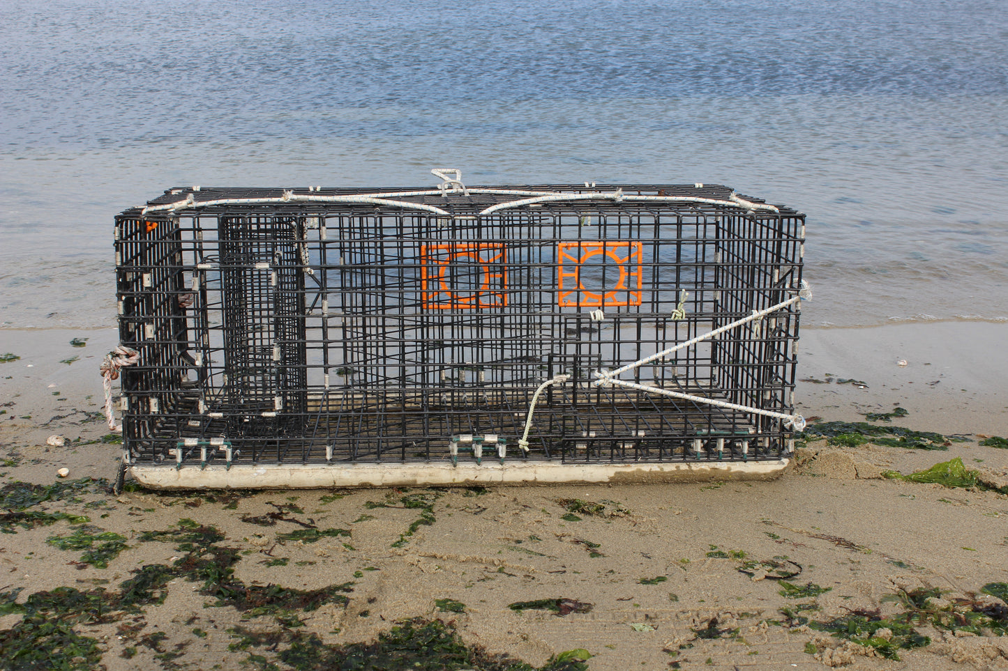 Scup Trap - Lobster Trap Style