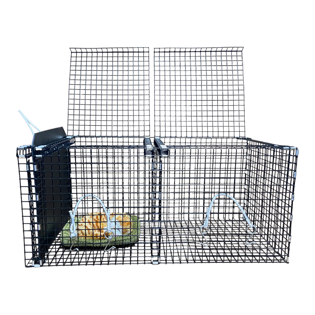 Cat Cages for TNR Transfer