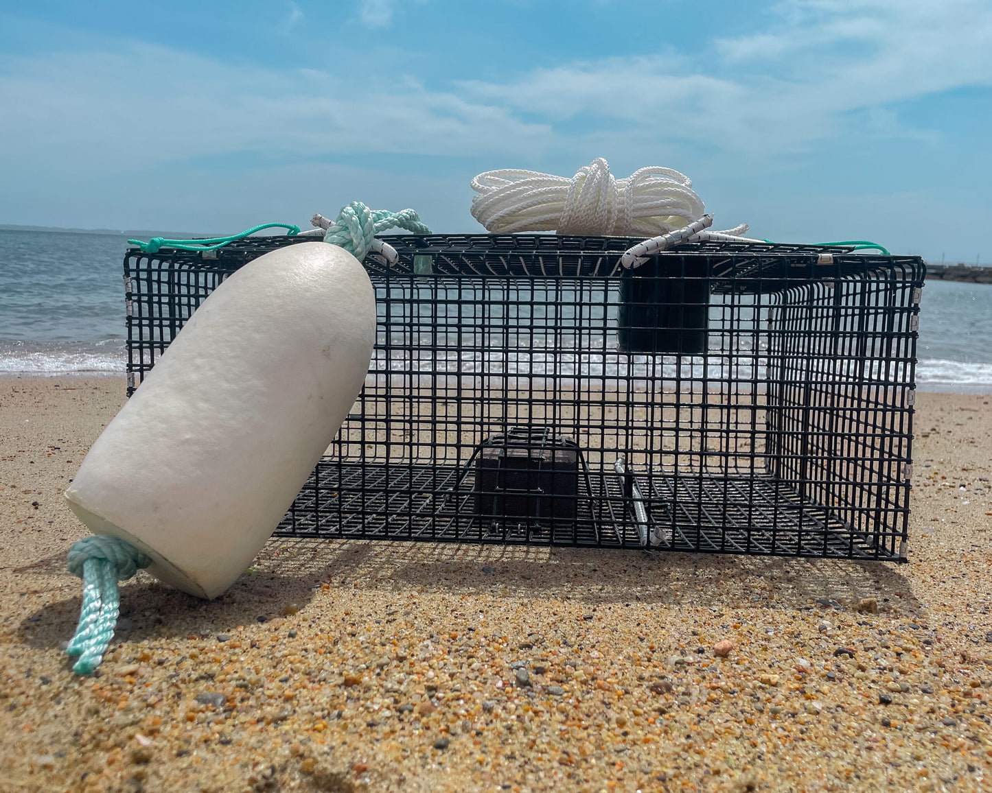 Large Green Crab Trap