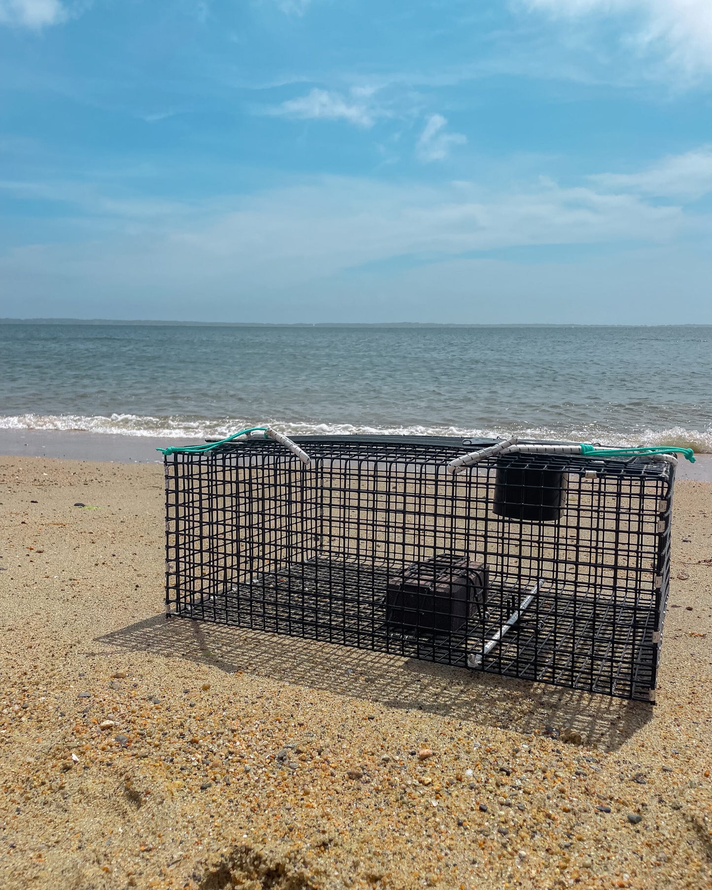 Large Green Crab Trap