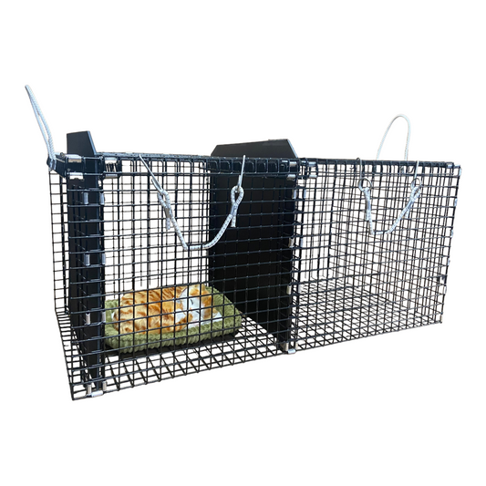 Cat Cages for TNR Transfer