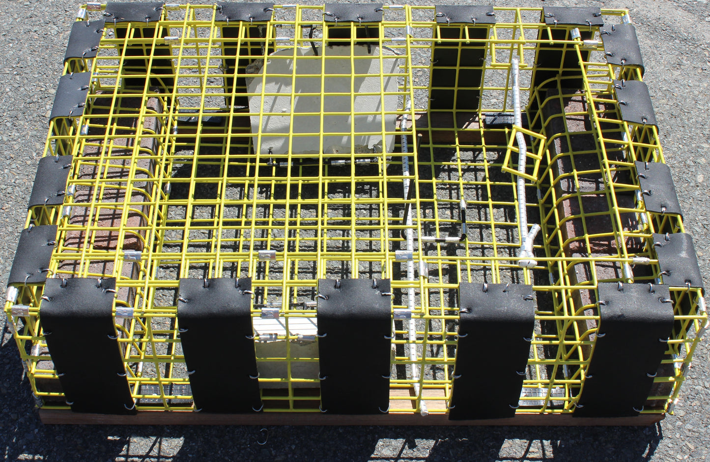 Conch Pots - Trawl