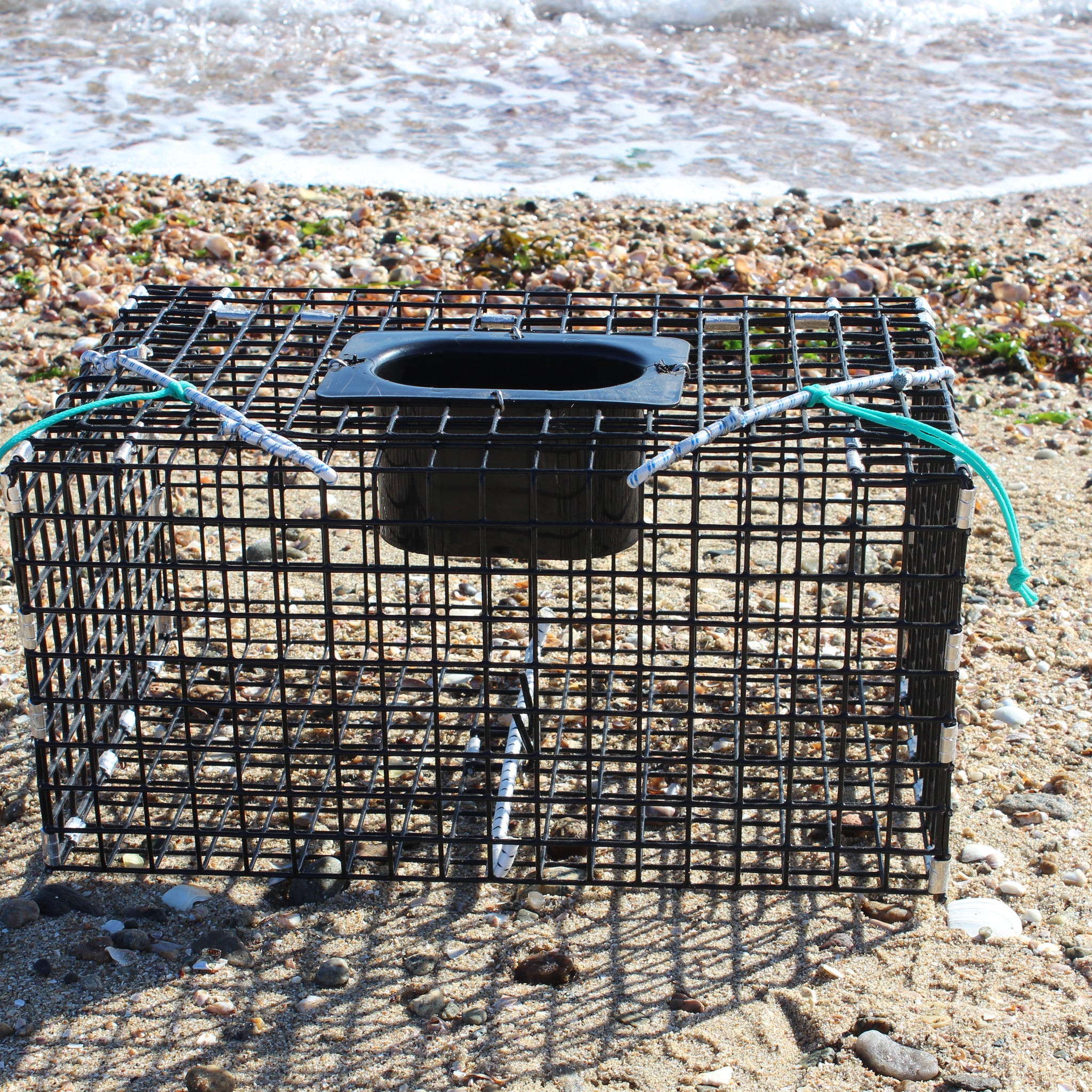 Small Green Crab Trap