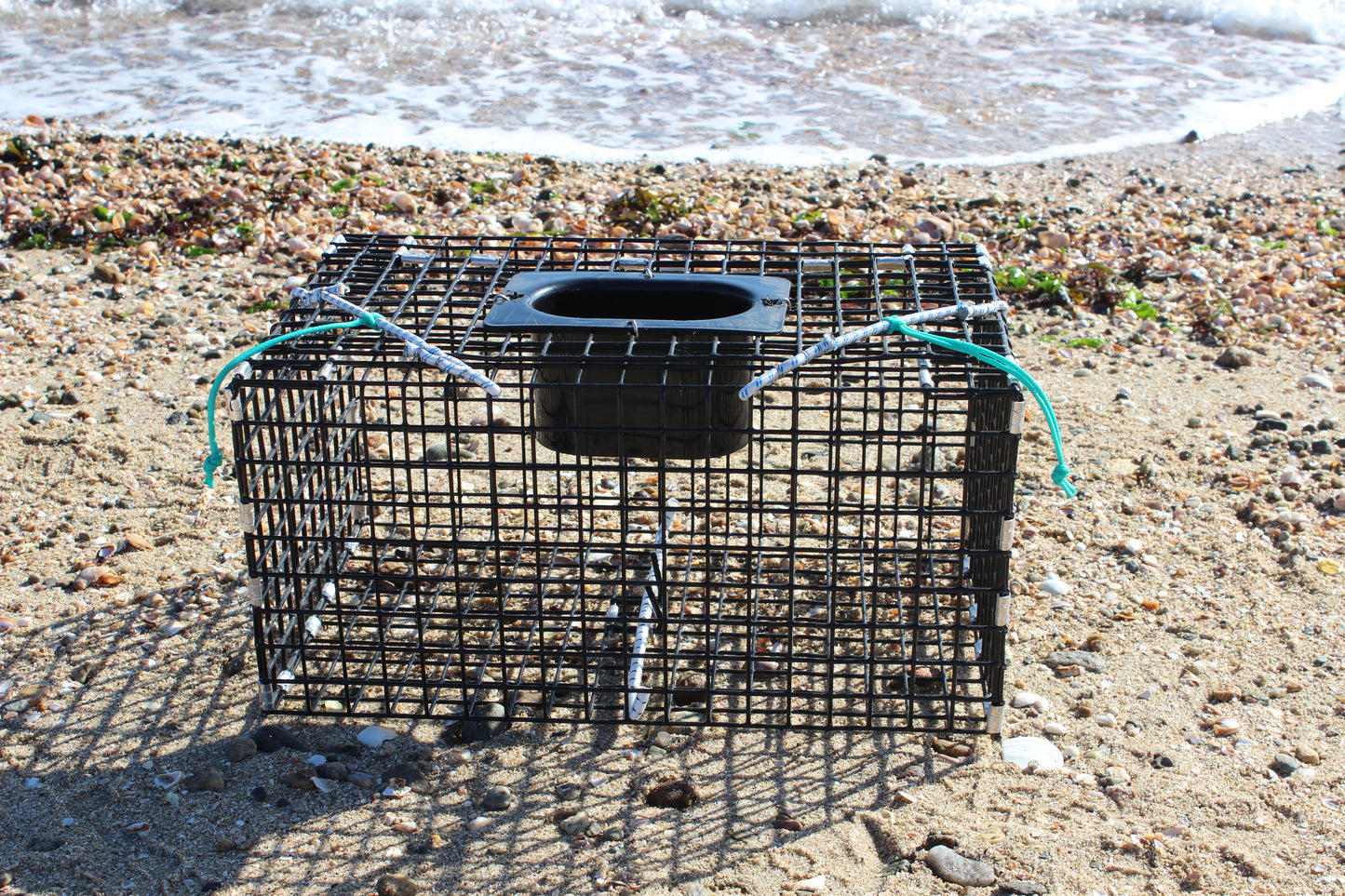 Small Green Crab Trap